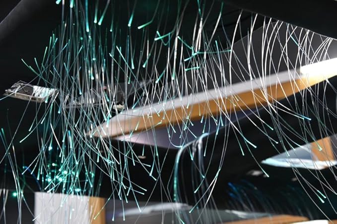 AKEPO End Glow Fiber Optic Light Cable 300pcs*Ф0.03in/0.75mm*9.8ft/3m, PMMA Plastic Optical Cable for LED Star Ceiling Sky Light Kit and Fiber Optical Lighting Decoration (Without Light Source)