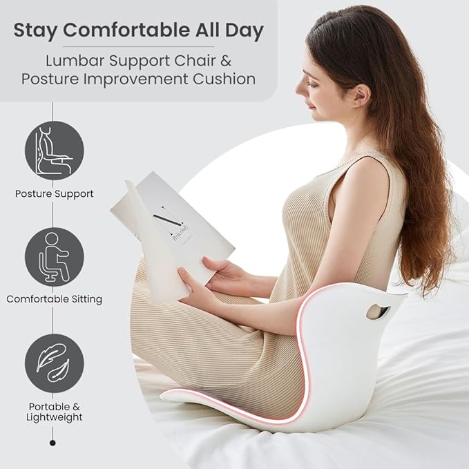 Ergonomic Lumbar Support Cushion, Silver, 460mm x 440mm x 340mm, Large, for Office Chairs & Car Seats, Posture Correction, Pregnancy Comfort,110-300 lbs Capacity