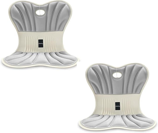 Posture Support Cushion - Lumbar & Back Support for Office Chair, Car Seat, Sofa, Ergonomic Chair & Back Cushion Back Support (02)