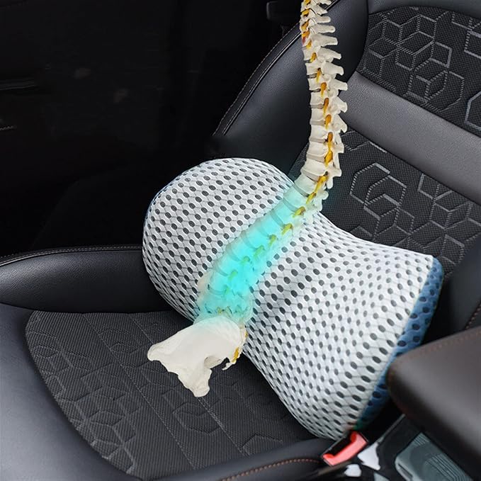 Lumbar Support Pillow for Car Seat, Mesh Office Chair Back Support Cushion, Ergonomic Back Pillows for Carseat,Office Chair,Desk,Wheelchair(Black-White)