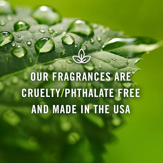 P&J Trading Fragrance Oils for Diffusers for Home Spa Set Fragrance Scents for Candle Making - Soap Making Supplies - Car Diffuser Scents - Essential Home Gift Set - Aloe, Eucalyptus & More