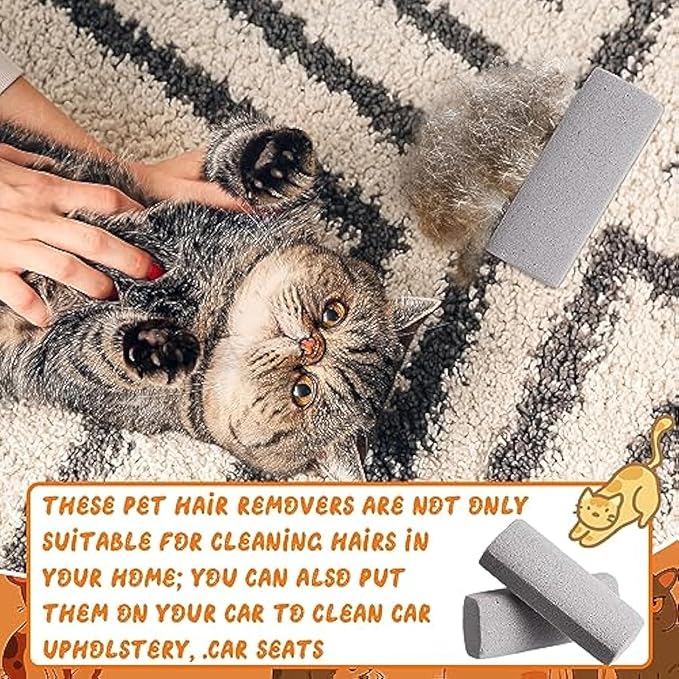 Abbylike 6 Pcs Pet Hair Remover Pumice Stone Car Pet Hair Removal Tool for Bedding Carpet Couch Furniture Cleaning (6.1 x 2.56 x 1.4 Inch,Gray)